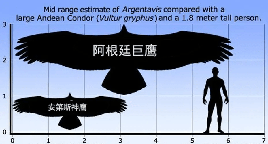 世界巨鹰，以吃狮子为生，翅膀超7米，身高超2米，至今没找到天敌