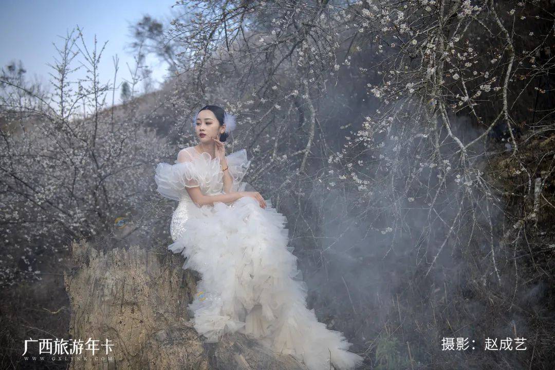 广西又发现一个赏梅仙境，万亩梅林染成雪！| 广西旅游年卡