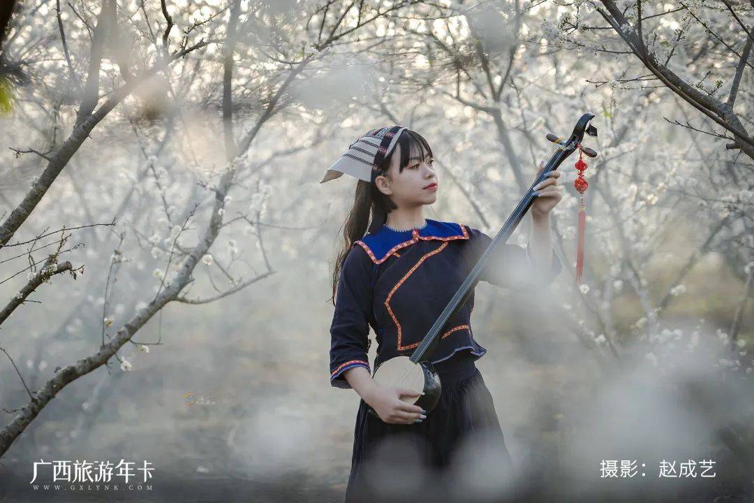 广西又发现一个赏梅仙境，万亩梅林染成雪！| 广西旅游年卡