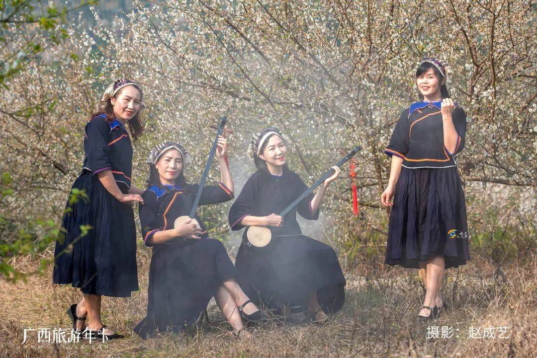 广西又发现一个赏梅仙境，万亩梅林染成雪！| 广西旅游年卡