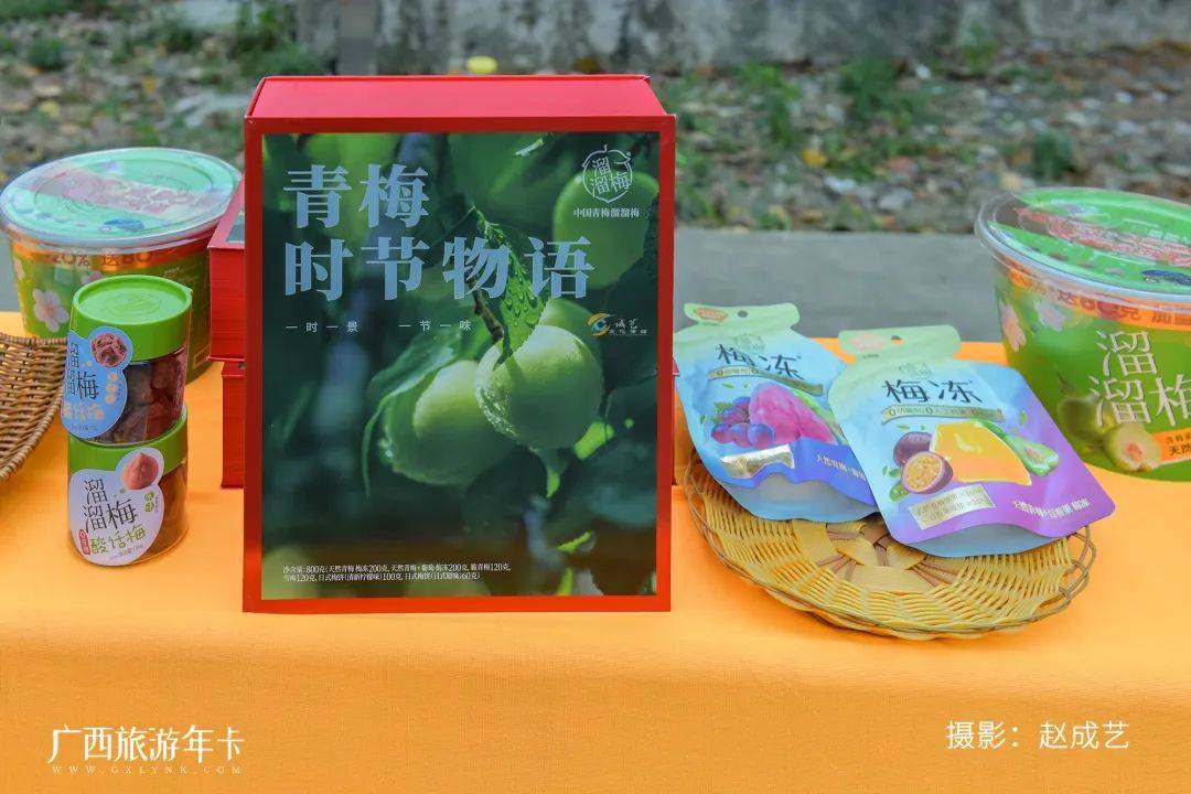 广西又发现一个赏梅仙境，万亩梅林染成雪！| 广西旅游年卡