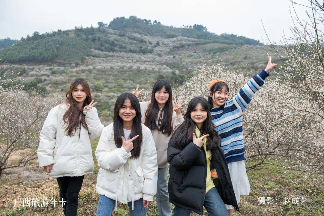广西又发现一个赏梅仙境，万亩梅林染成雪！| 广西旅游年卡