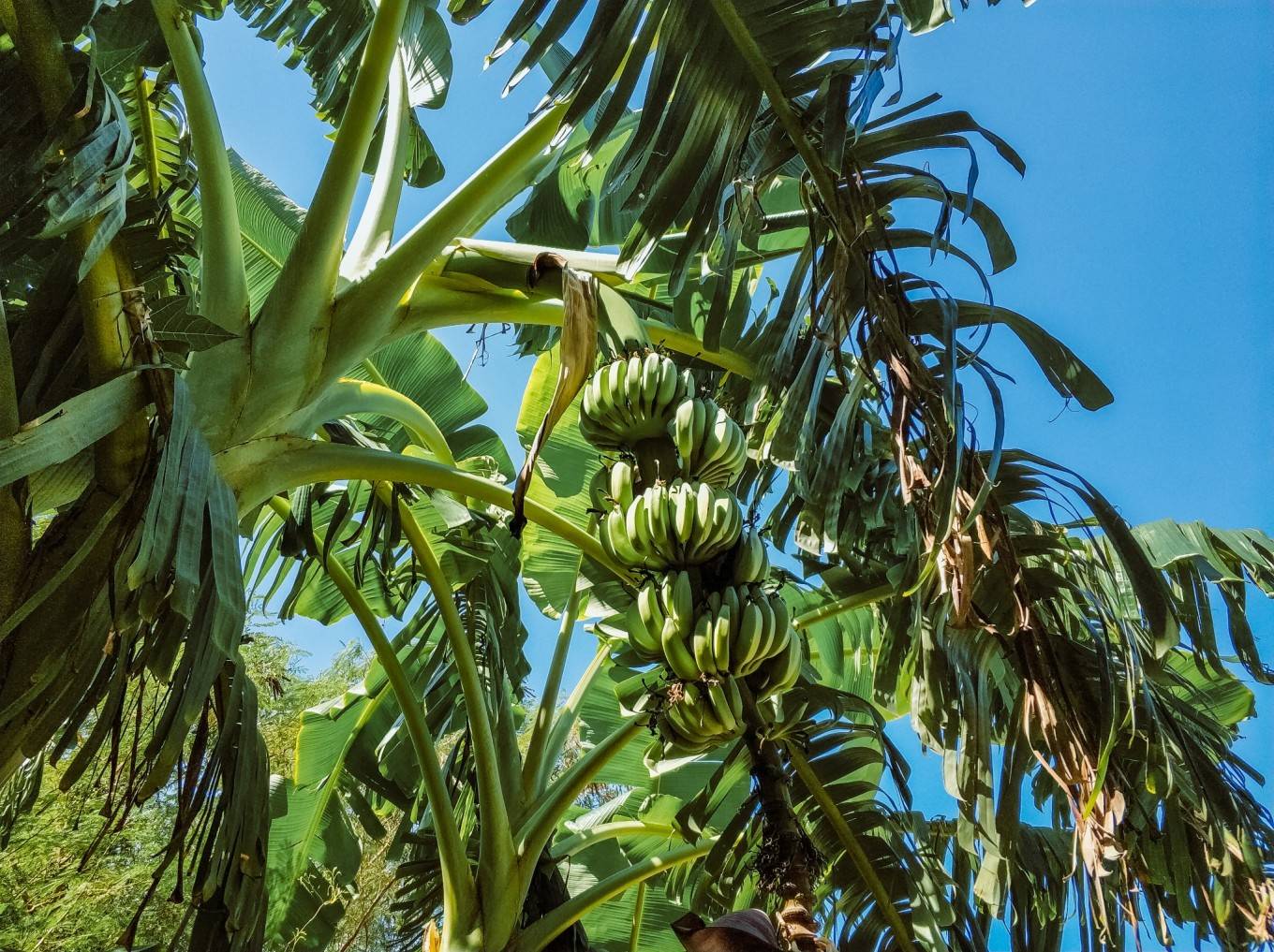 北海-涠洲岛-南宁6日游玩攻略