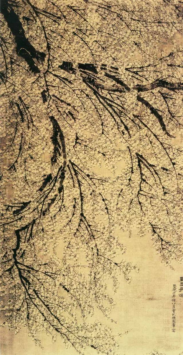 最适合入画的“十大吉祥植物”，送人必知！