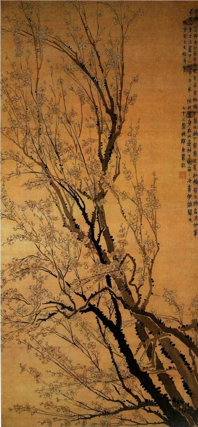 最适合入画的“十大吉祥植物”，送人必知！