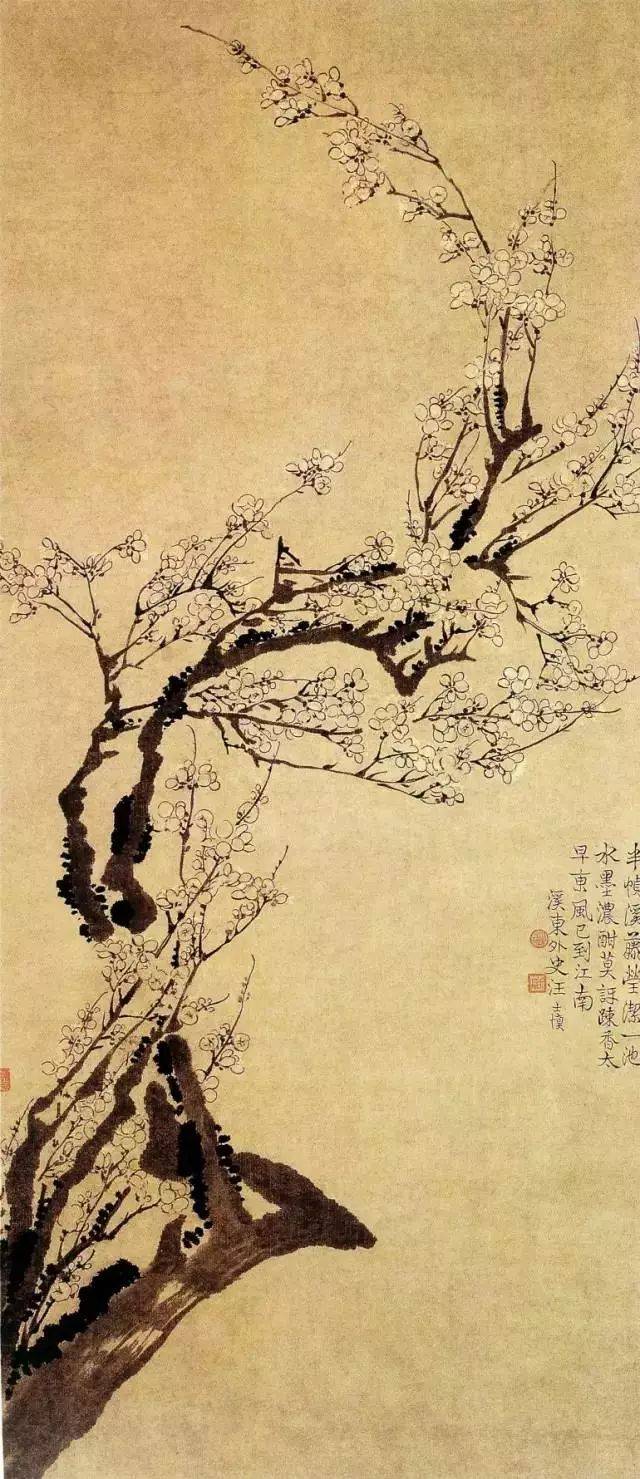最适合入画的“十大吉祥植物”，送人必知！