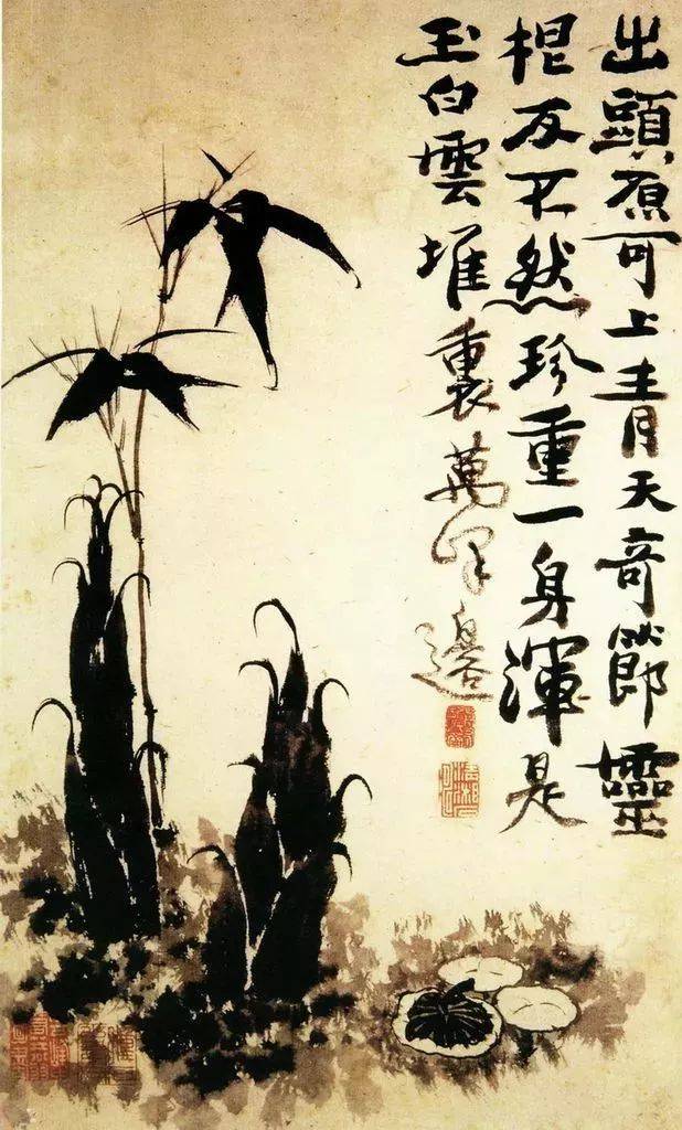 最适合入画的“十大吉祥植物”，送人必知！