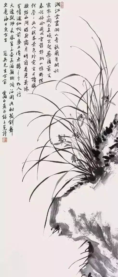 最适合入画的“十大吉祥植物”，送人必知！