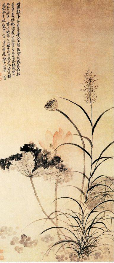最适合入画的“十大吉祥植物”，送人必知！