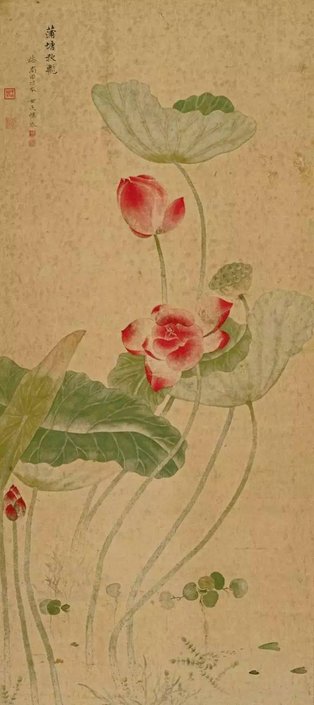 最适合入画的“十大吉祥植物”，送人必知！