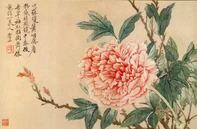 最适合入画的“十大吉祥植物”，送人必知！