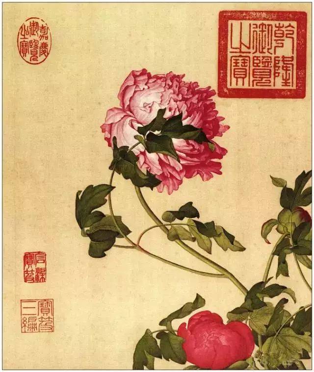 最适合入画的“十大吉祥植物”，送人必知！