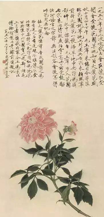 最适合入画的“十大吉祥植物”，送人必知！