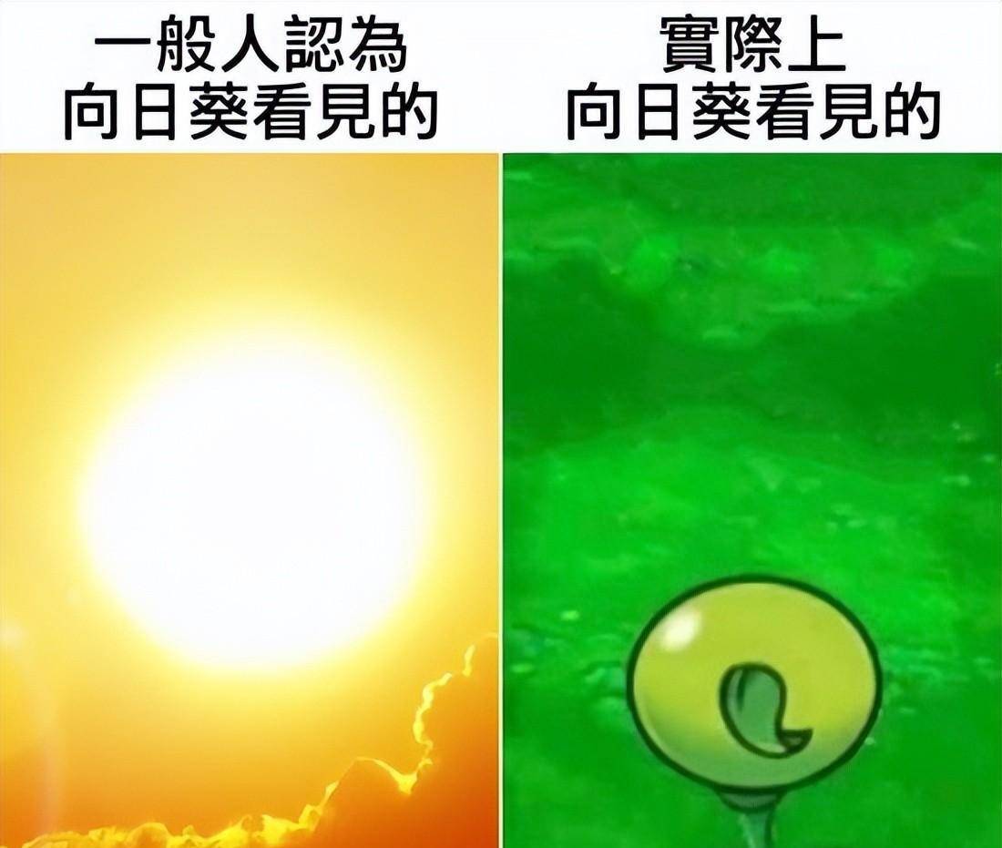 爆笑梗图神评论~这张图片的酸臭味是不是过于浓烈了？