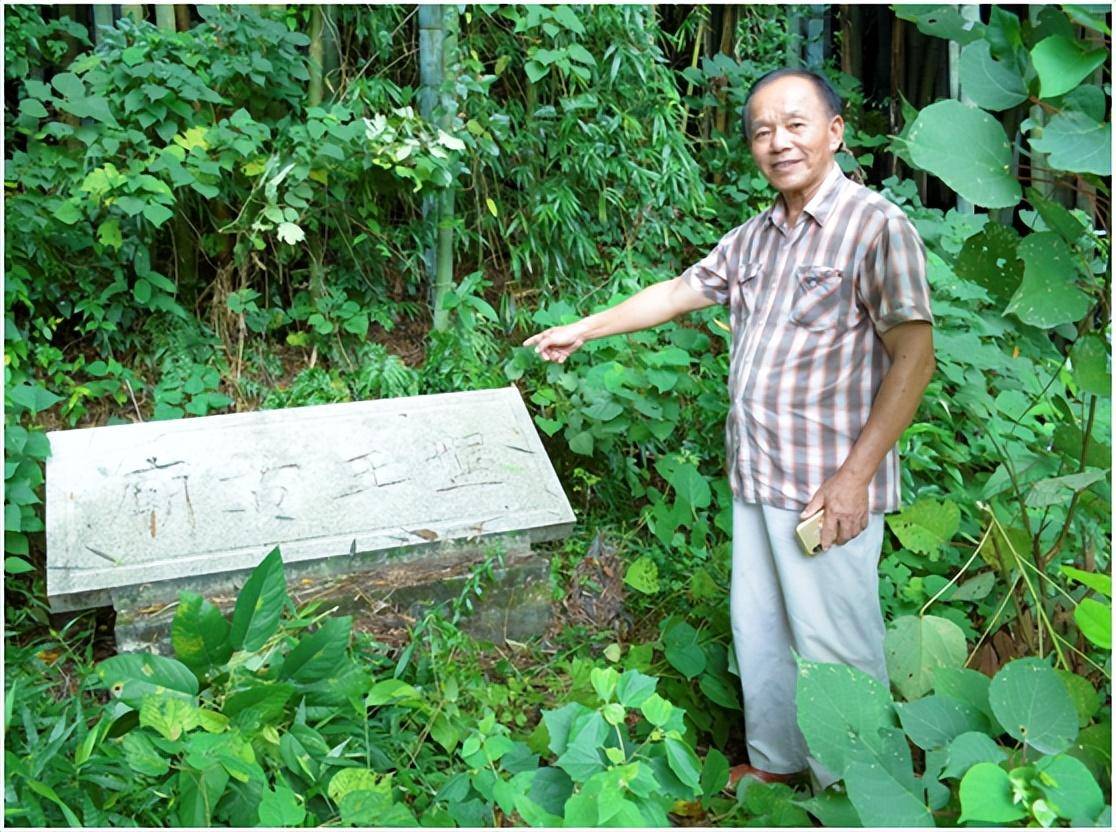 在梯面茅輋，大山深处，隐藏着一千多亩原生态的古茶园