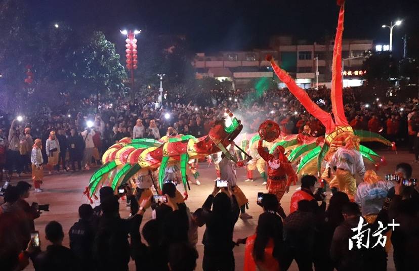 南方拍客看广东｜一周精选 岭南春光，限定的浪漫
