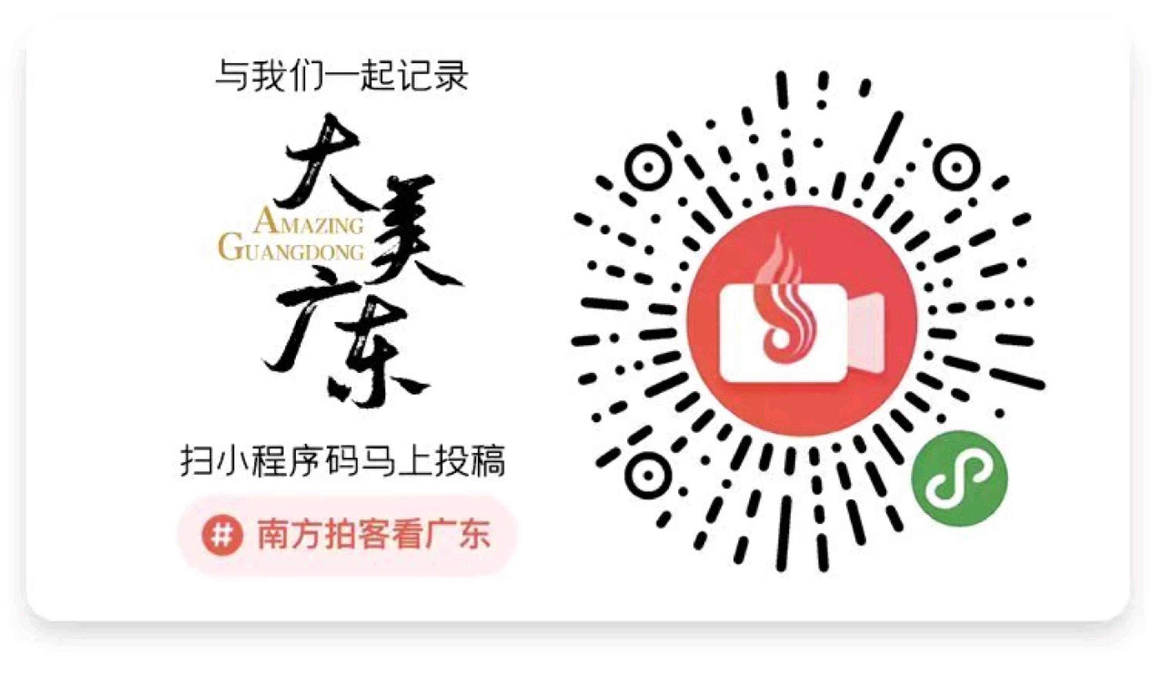 南方拍客看广东｜一周精选 岭南春光，限定的浪漫