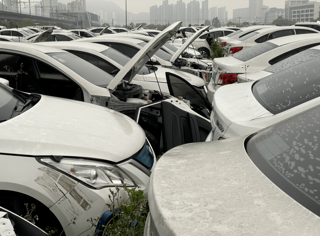 探访汽车「坟场」：消失的网约车、共享汽车，在这里论斤卖