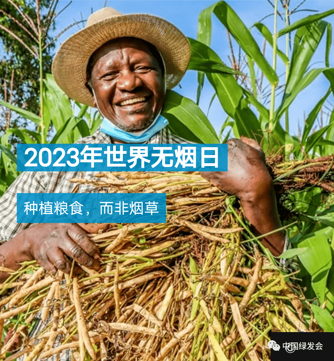 2023年世界无烟日主题确定！种植粮食，而非烟草