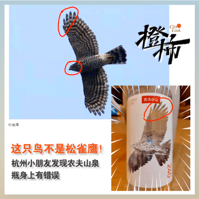 不谈学习的时候，儿子厉害得让我感到陌生