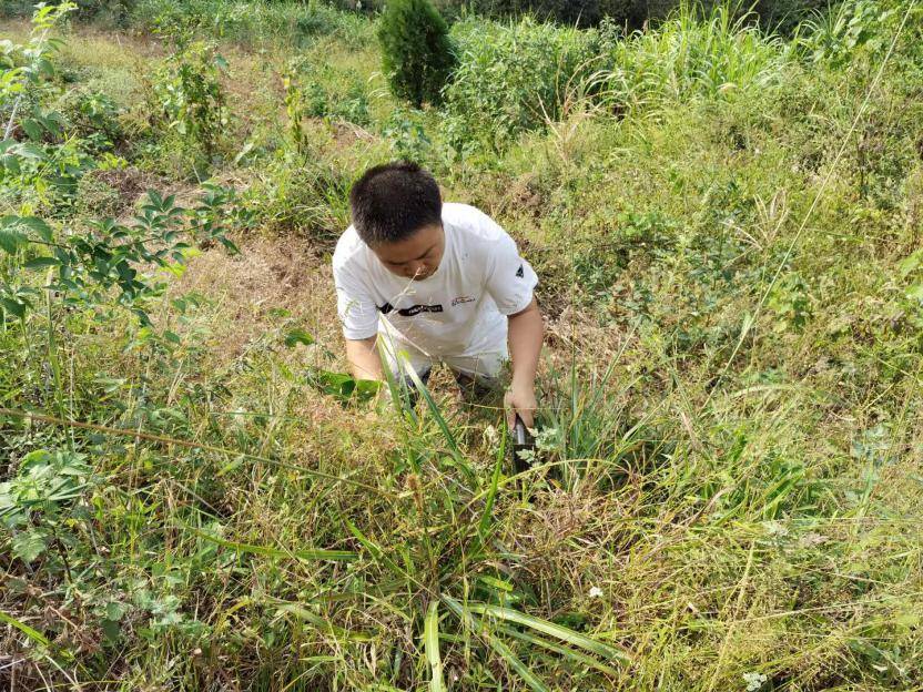 虚心竹有低头叶 傲骨梅无仰面花 ——寻访黔东南民间用药经验 凯里 唐欿