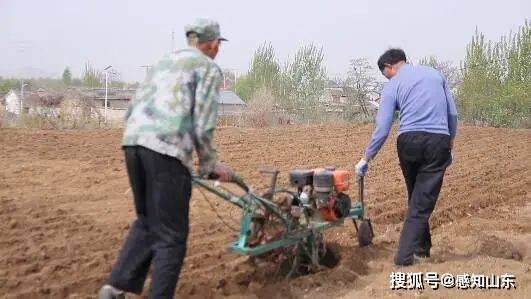 天平街道耿庄村：种好黄精得“黄金”