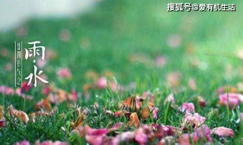 雨水节气是几月几日2023，雨水节气的特点和风俗