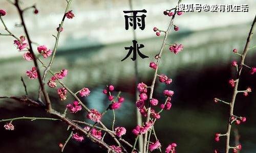 雨水节气是几月几日2023，雨水节气的特点和风俗