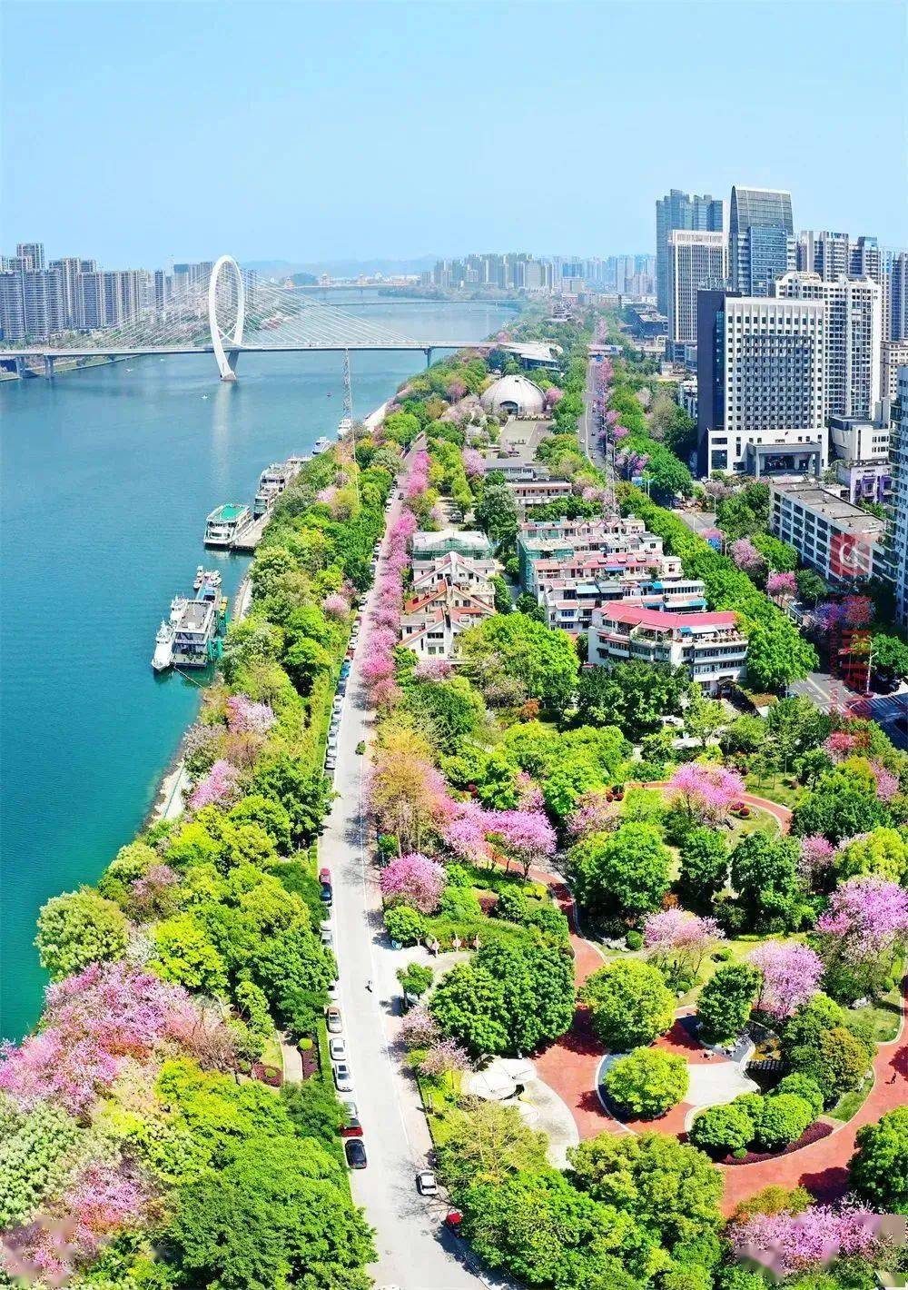 重磅！2023版《广西旅游导览图》+“潮玩三月三”旅游精品线路发布