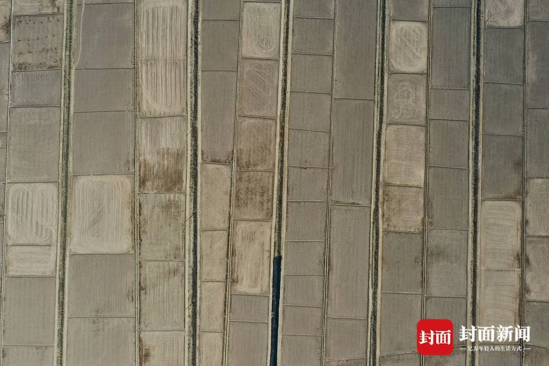 宁夏引黄古灌区的“蝶变”之路丨水润中国·从东风堰出发——对话世界灌溉工程遗产