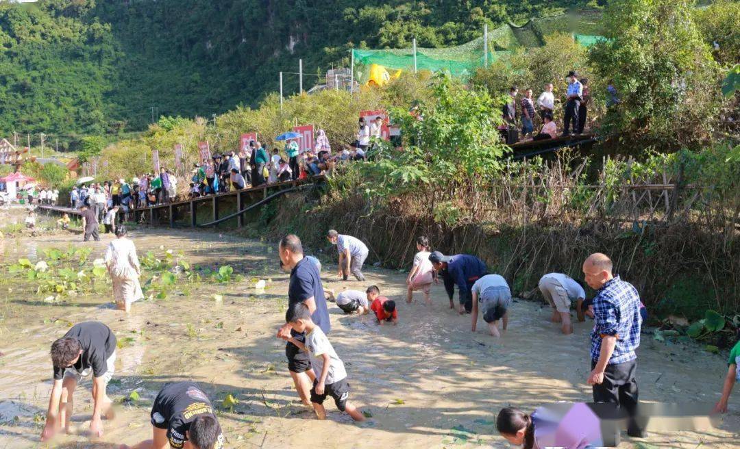 那坡2023年“壮族三月三·那坡风流街”边关民俗文化旅游活动等你来嗨！