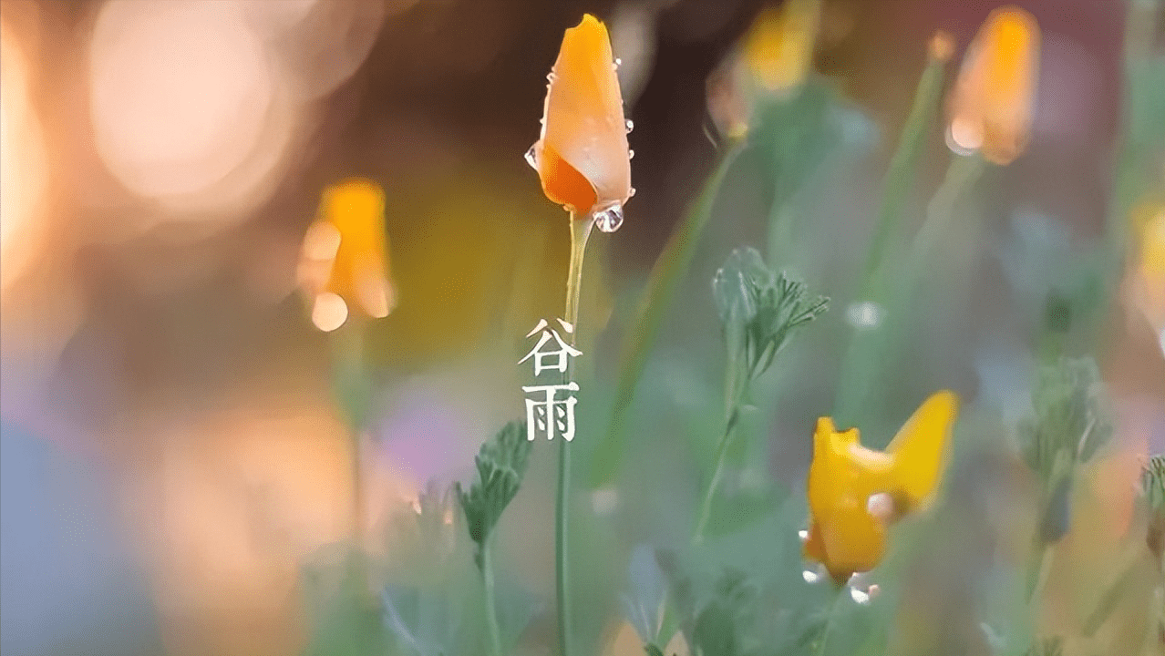 谷雨节气｜享受最后一抹春意，5首诗词带你感受最美春光