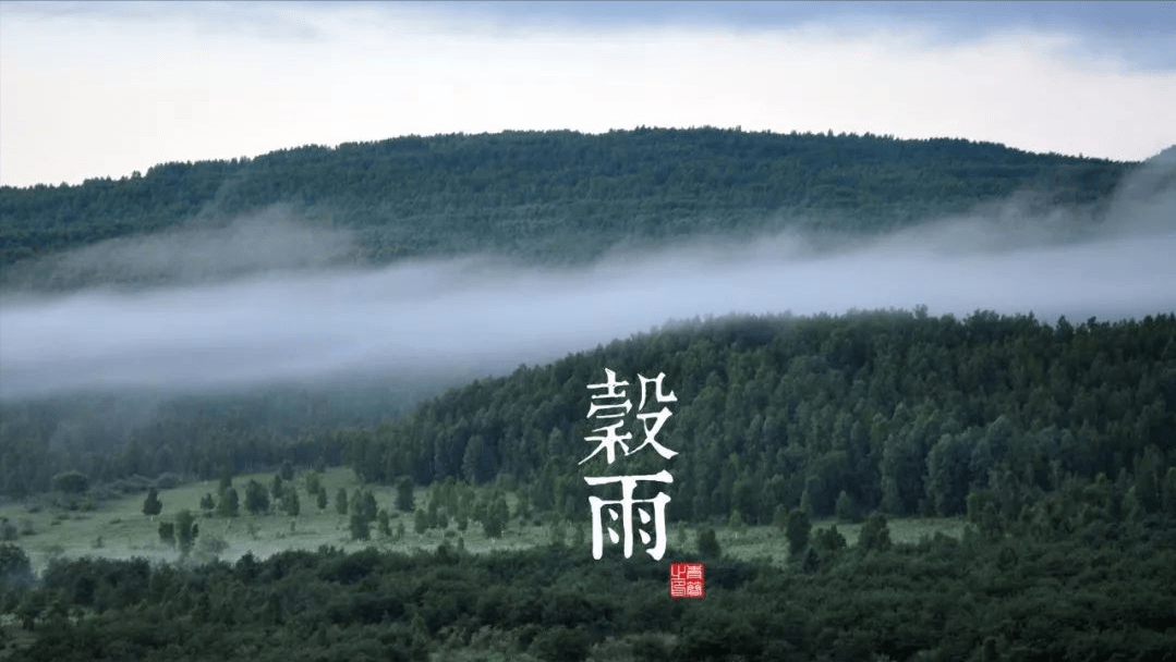 谷雨节气｜享受最后一抹春意，5首诗词带你感受最美春光