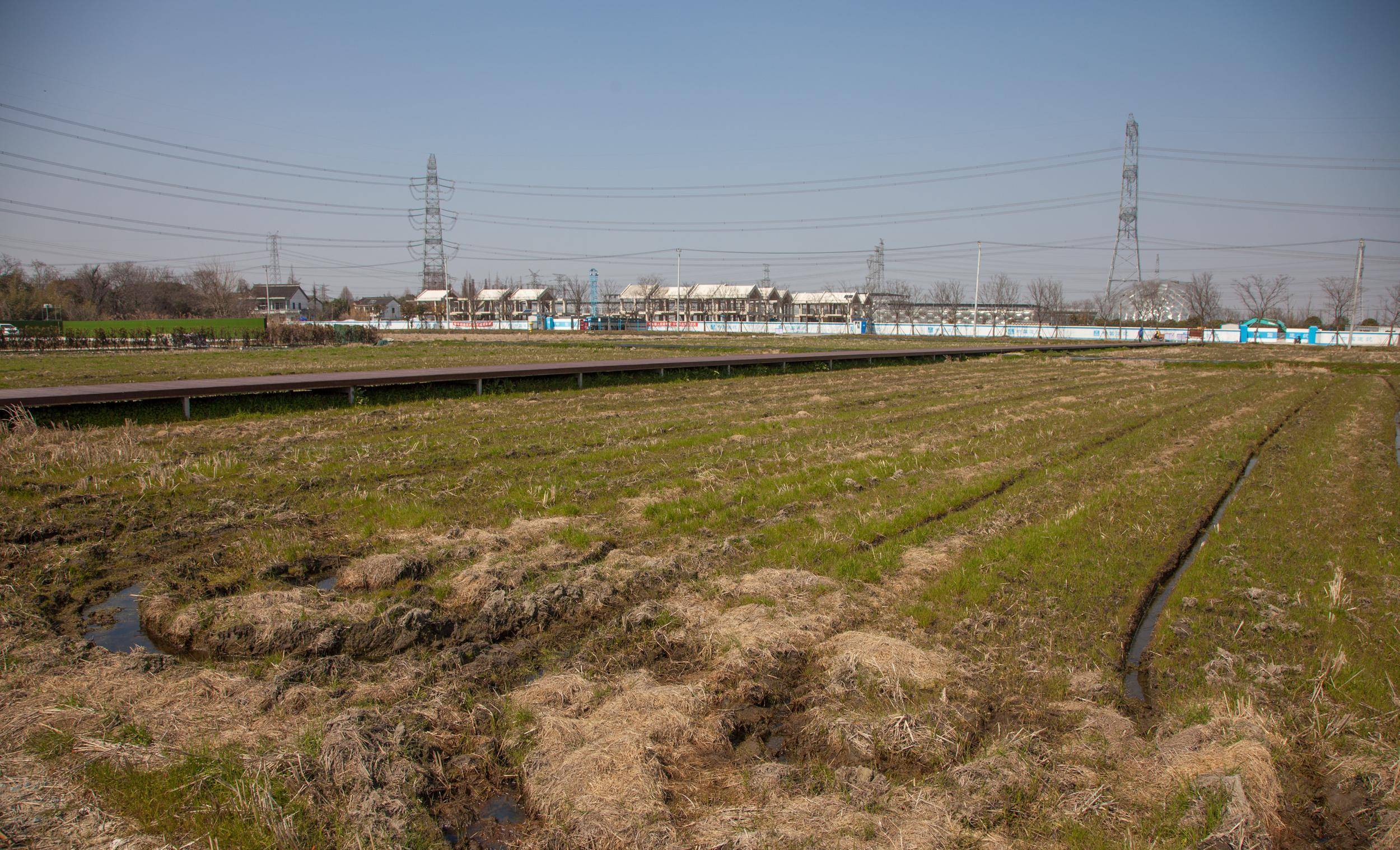 最新的上海古镇，1庙1古宅4古桥外，均为新建，上海青浦章堰古镇