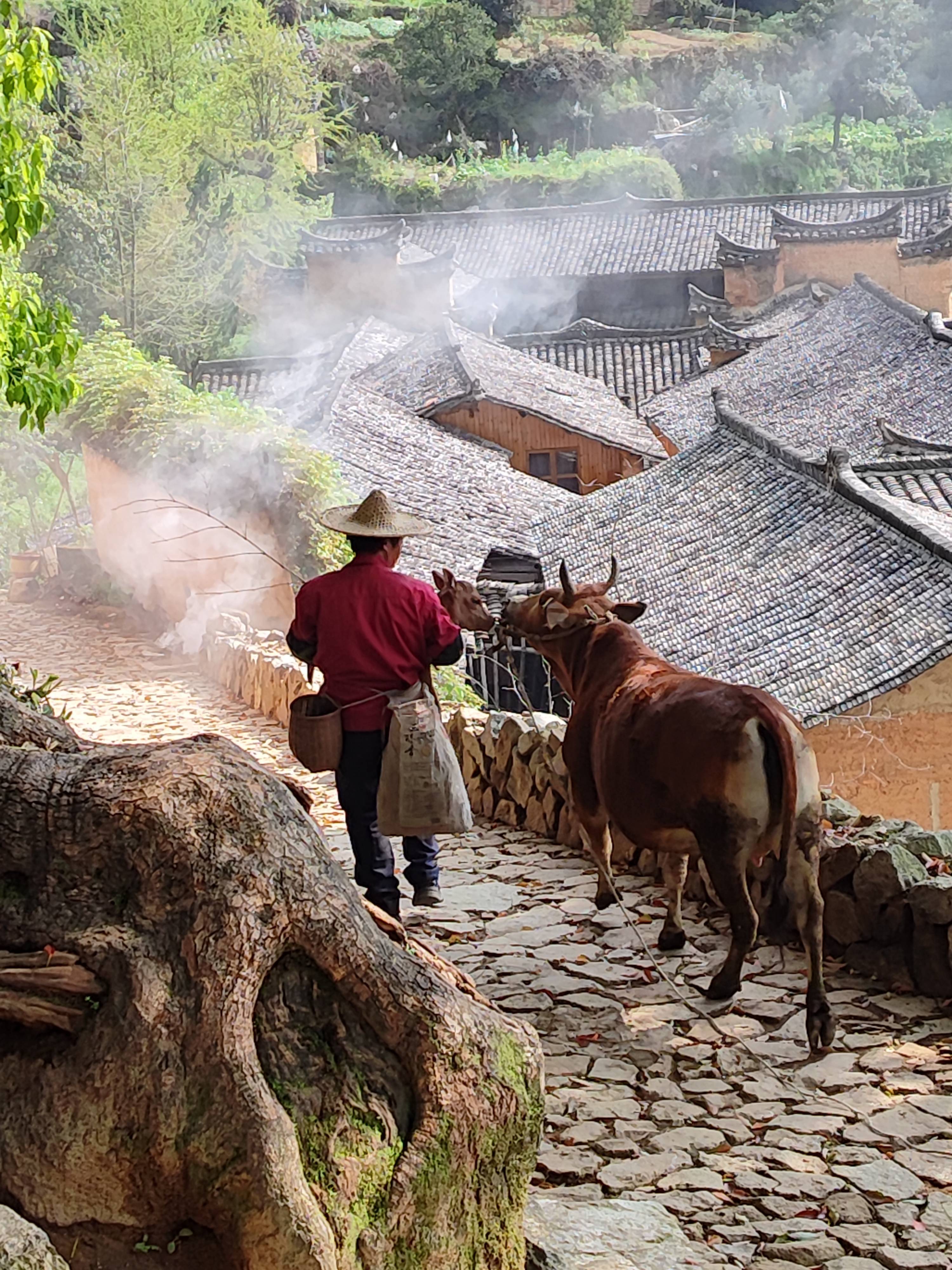 再访松阳：你好，千幢老屋理想的慢生活