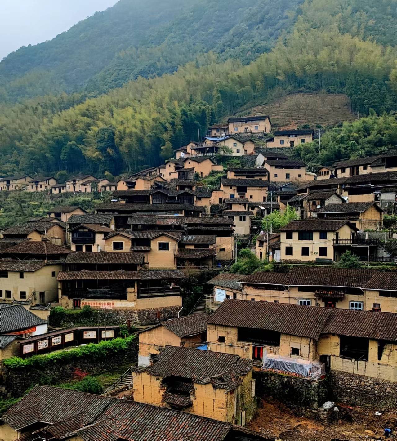 再访松阳：你好，千幢老屋理想的慢生活