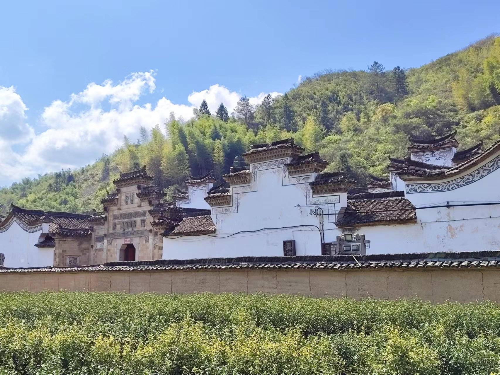 再访松阳：你好，千幢老屋理想的慢生活