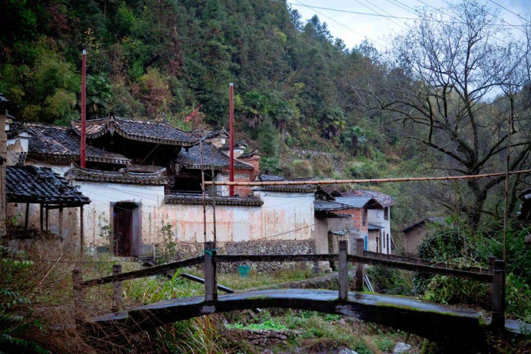 再访松阳：你好，千幢老屋理想的慢生活