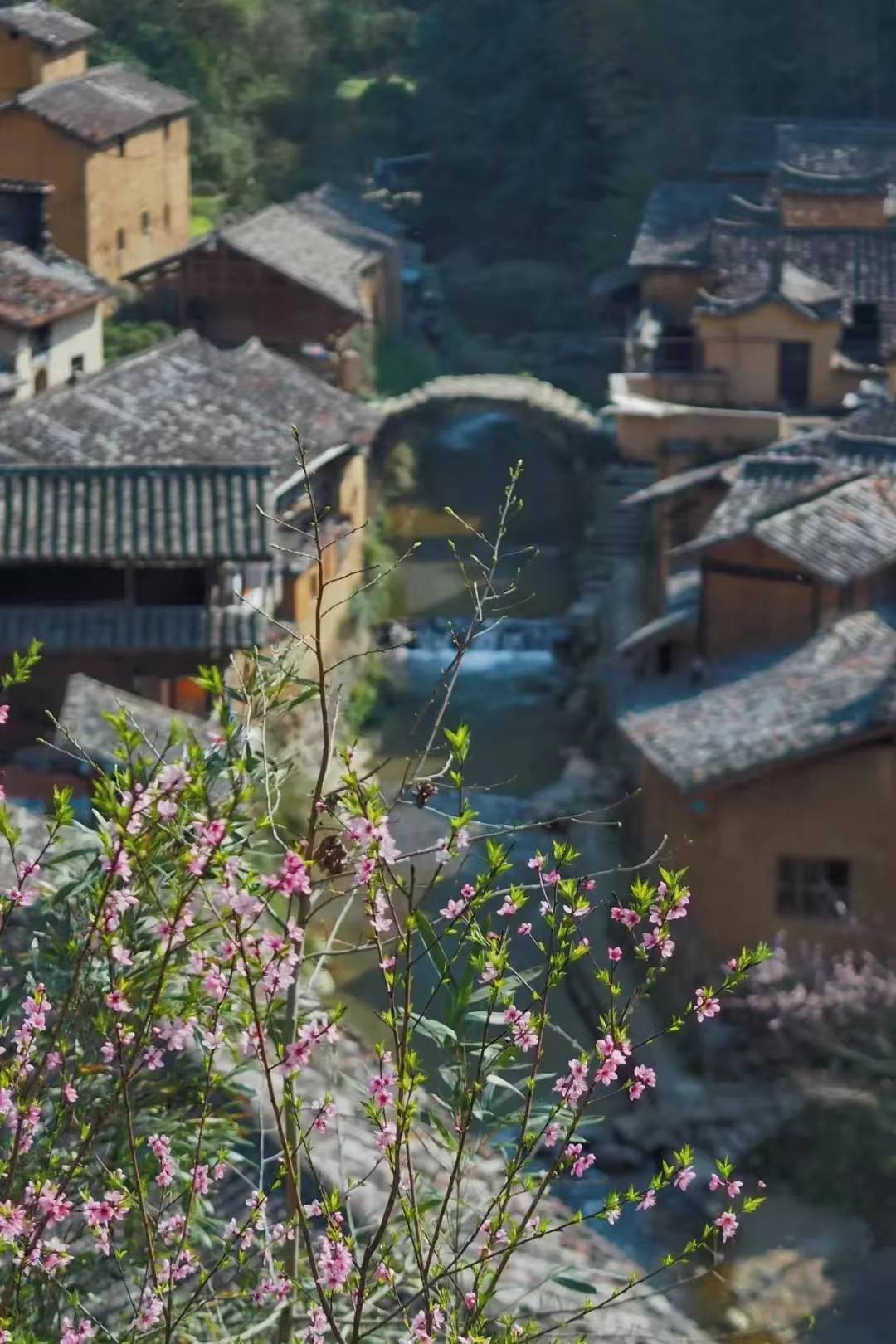 再访松阳：你好，千幢老屋理想的慢生活