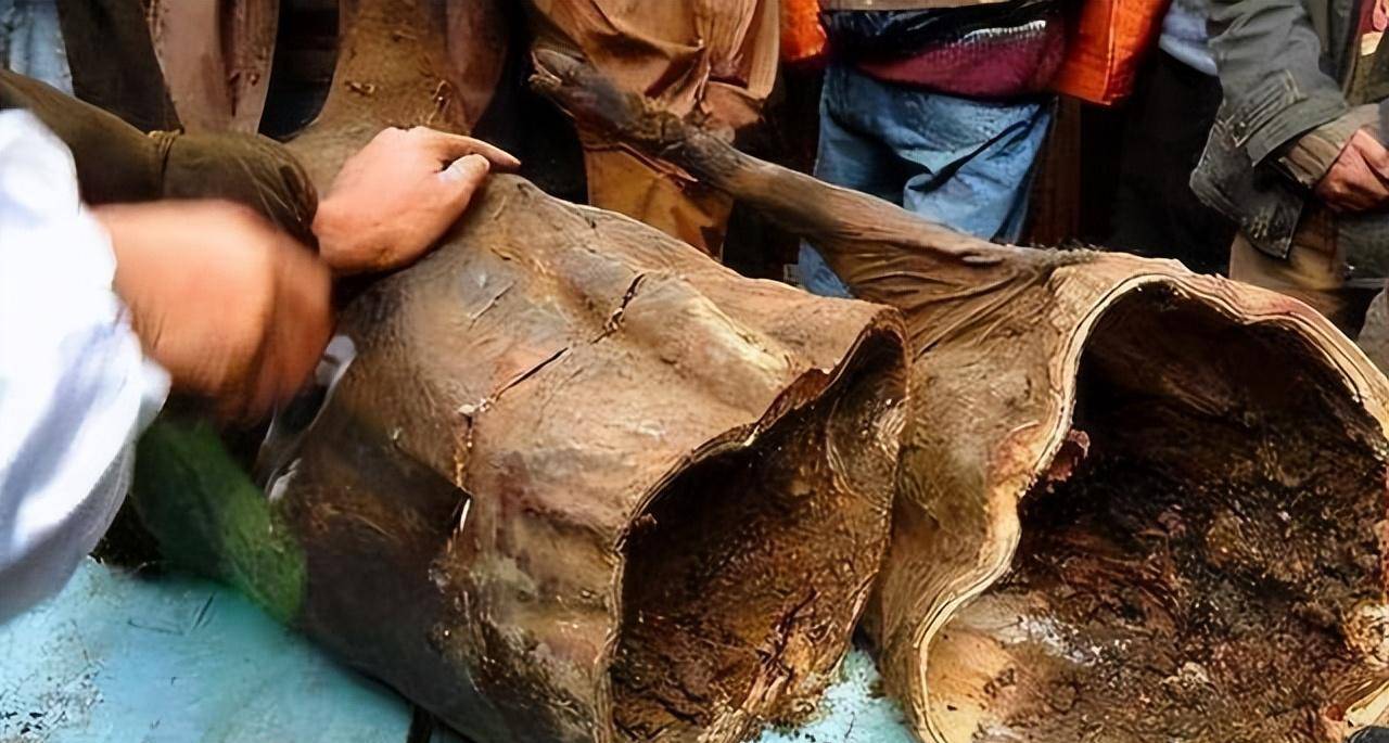 房梁上悬挂53年的四川臭猪肉，仅限招待贵宾，这肉真的还能吃吗？