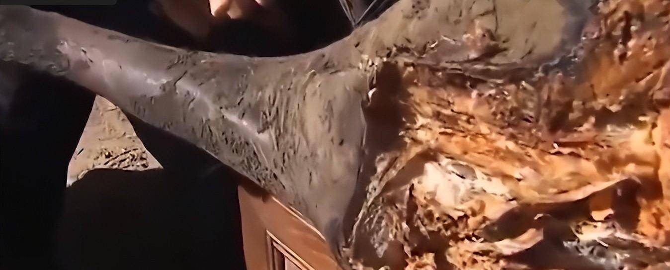 房梁上悬挂53年的四川臭猪肉，仅限招待贵宾，这肉真的还能吃吗？