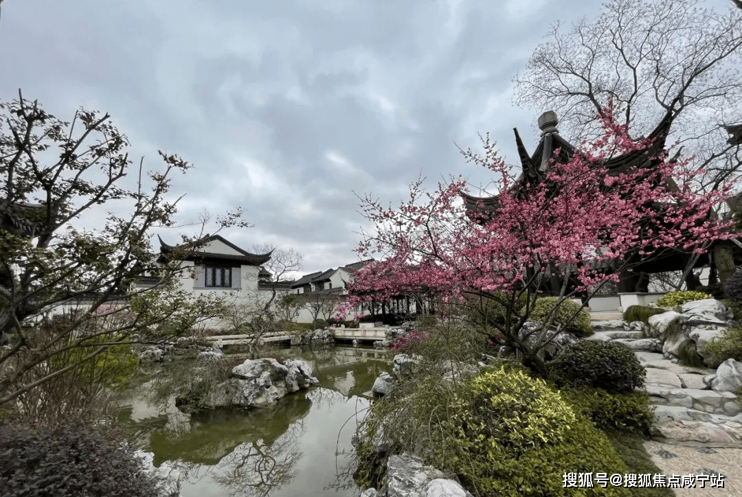 上海桃花源（浦东上海桃花源）网站丨上海桃花源欢迎您丨上海桃花源|楼盘详情