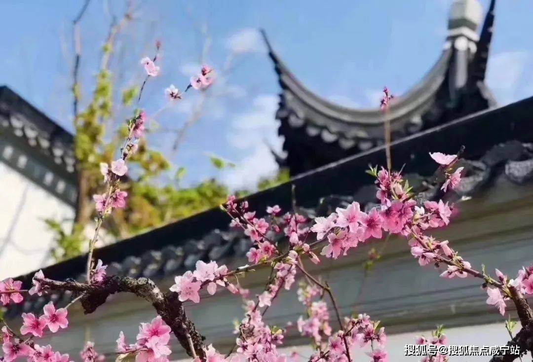 上海桃花源（浦东上海桃花源）网站丨上海桃花源欢迎您丨上海桃花源|楼盘详情