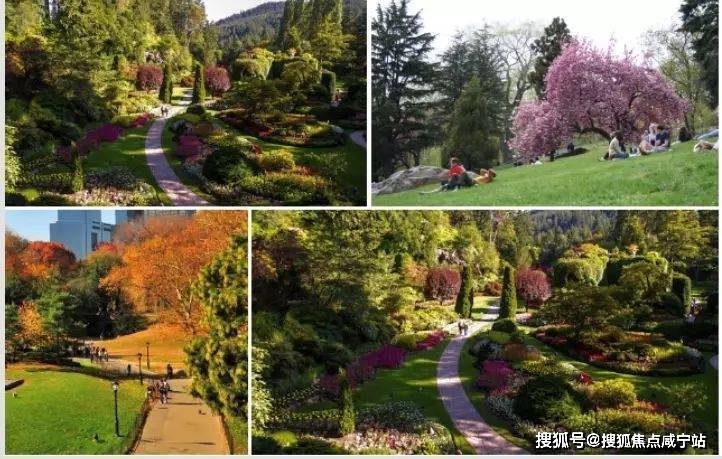 上海桃花源（浦东上海桃花源）网站丨上海桃花源欢迎您丨上海桃花源|楼盘详情