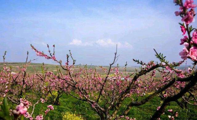 春节元夕万家欢，清明寒食哀思缠；清音八弦吟咏五节风俗三春天