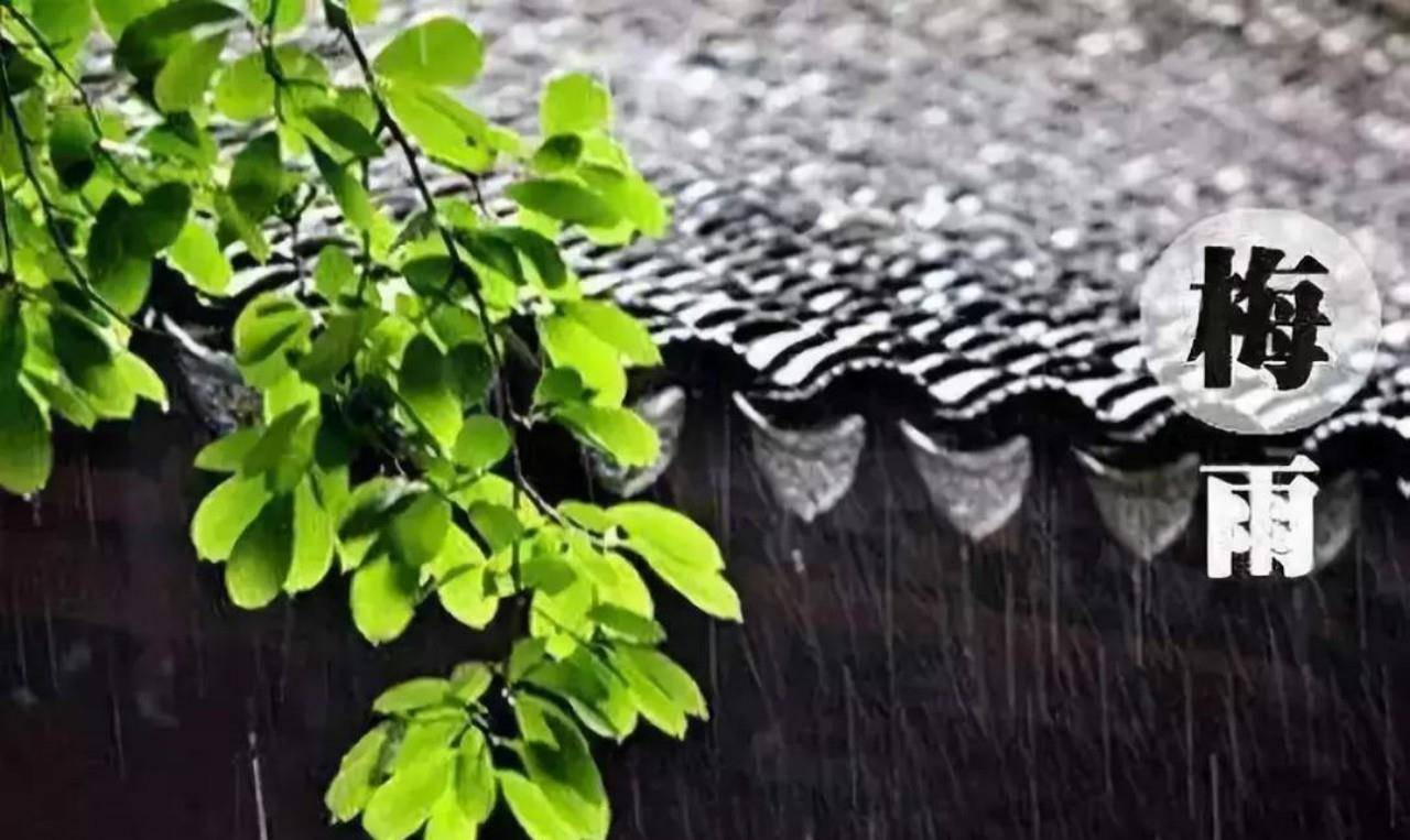 唐诗中最美的一场微雨，来自16岁的李商隐，无一雨字却句句是雨