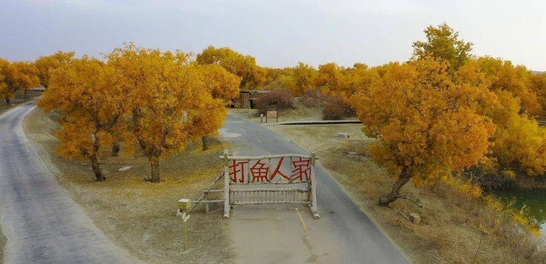 尉犁县乡村旅游打卡点-墩阔坦乡罗布人村寨景区