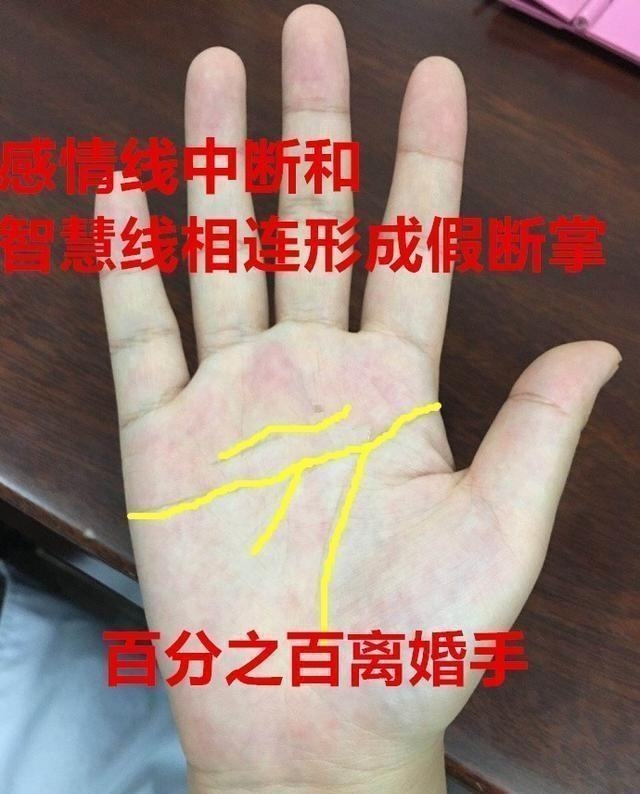 女人手掌纹路图解右手断掌纹 个性执着重事业