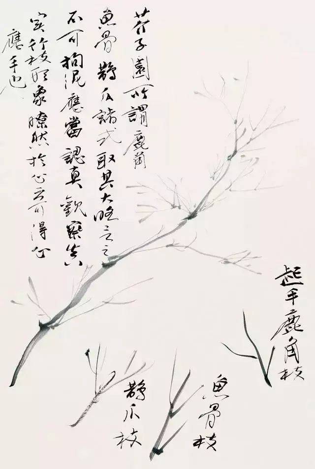 从历代名家竹画中汲取营养，画竹还需掌握好三点！