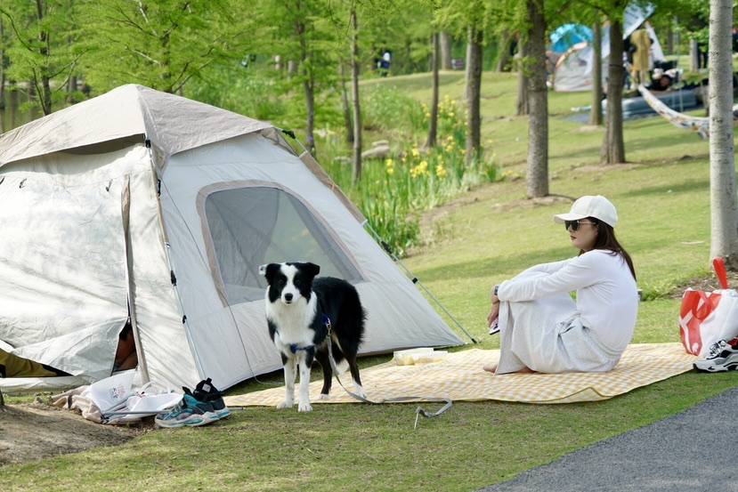 陆地冲浪、电音派对、咖啡学堂……大量长三角游客到访上海长兴岛郊野公园